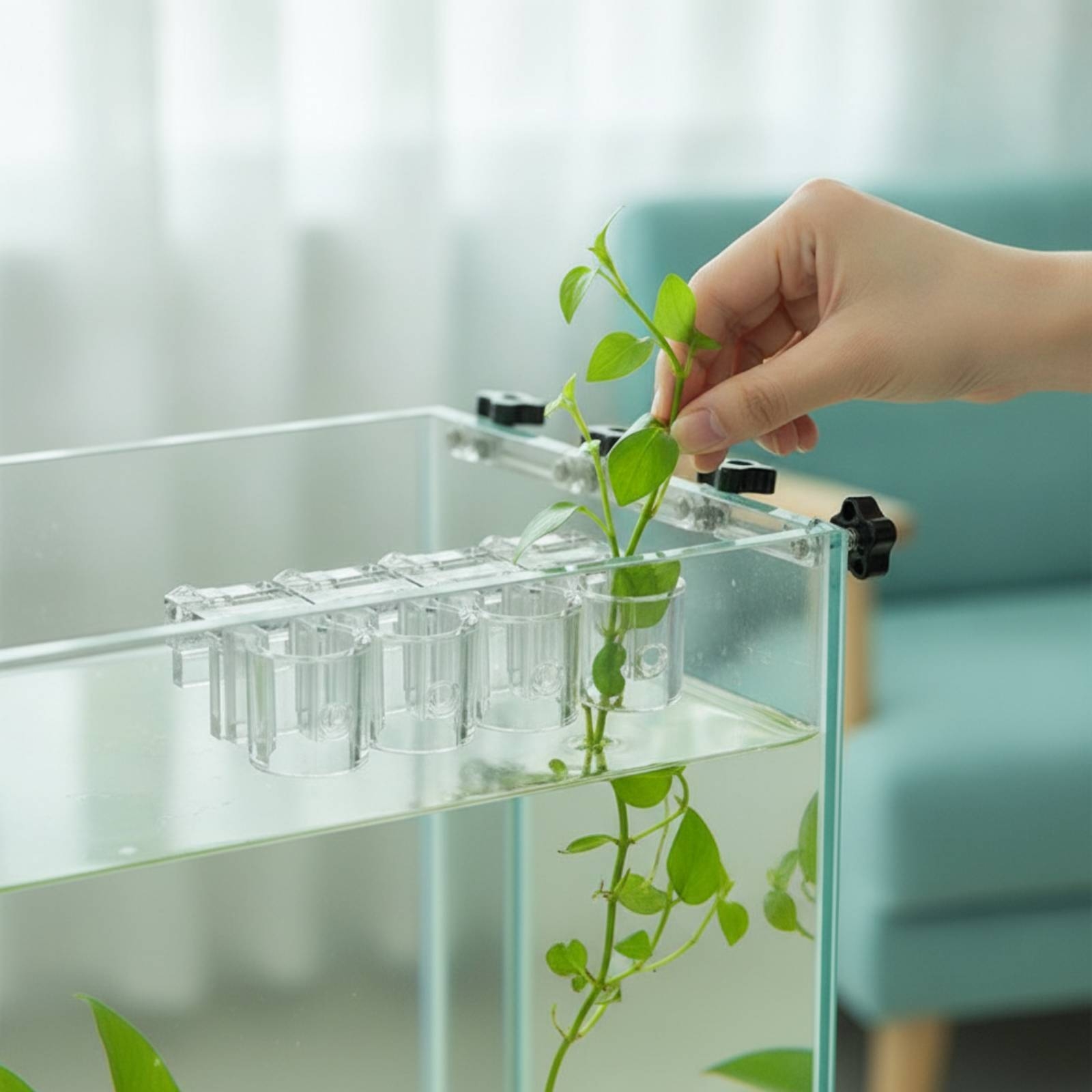 Aquarium Plant - 6 sztuk przezroczystych klipsów do hydroponiki