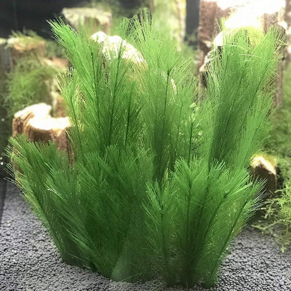 Aquarium Plant Live - 1/3 sztuk 28/40cm akwarium akwarium sztuczna