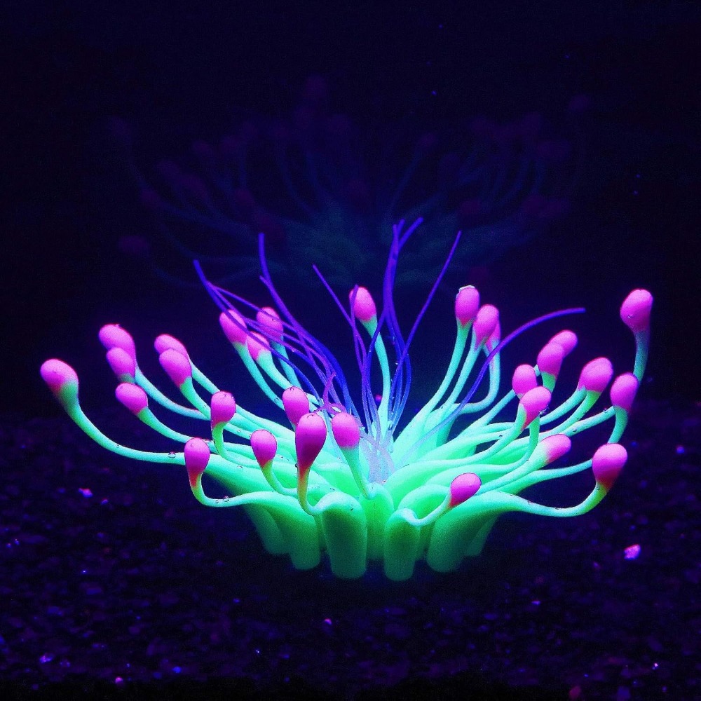 Aquarium Plant Liquid Fertilizer - Miękki żel krzemionkowy naturalnie przepuszczający wodę,