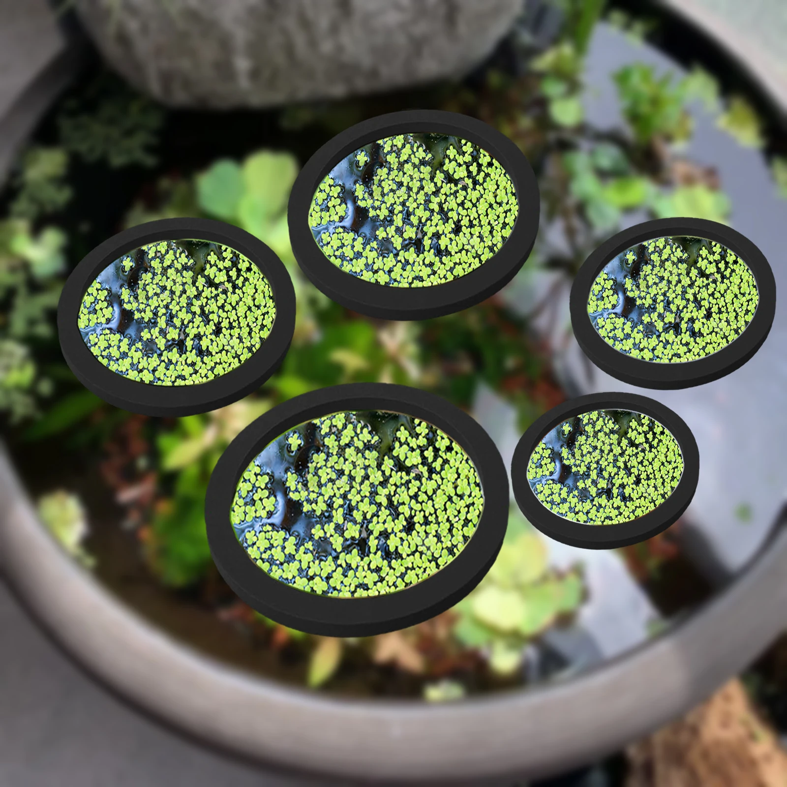 Aquarium Plant - 5Pcs EVA Pierścień do karmienia ryb
