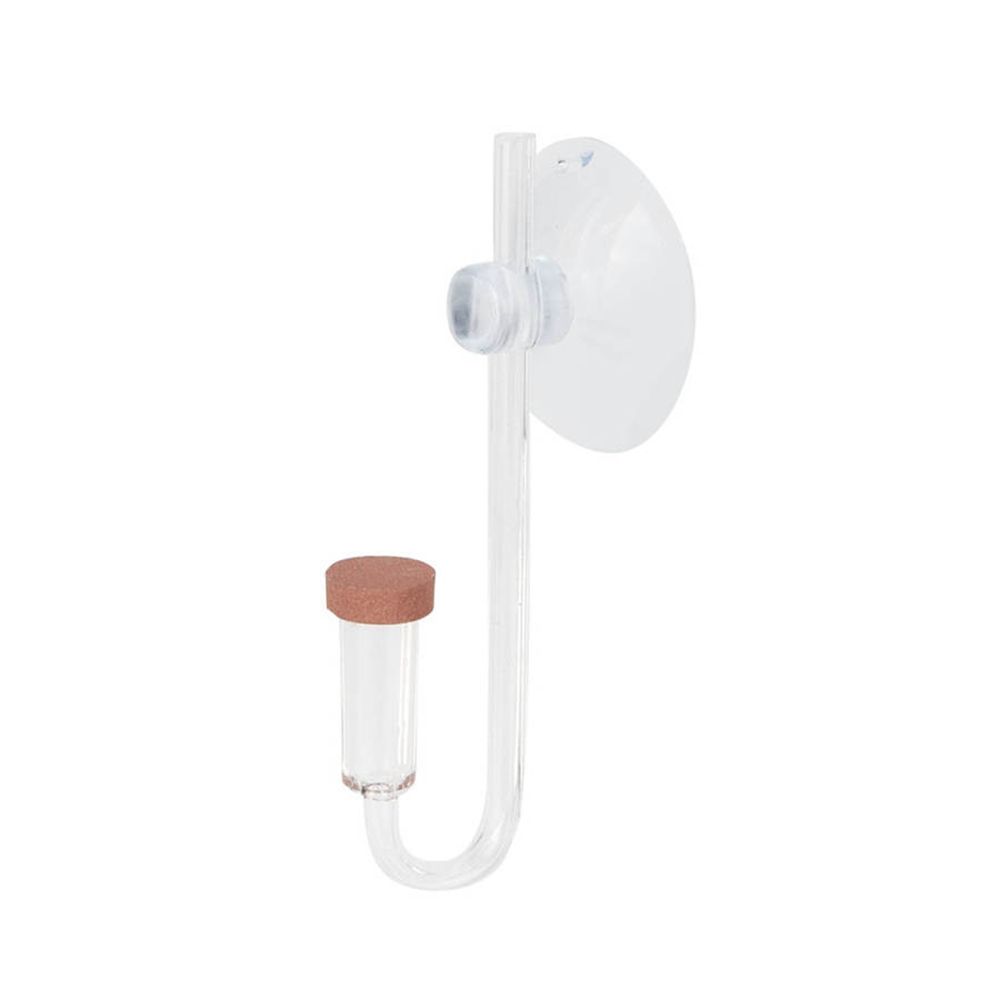 Aquarium Plant Live - Akrylowy Mini Akwarium Rośliny Żywe Atomizer