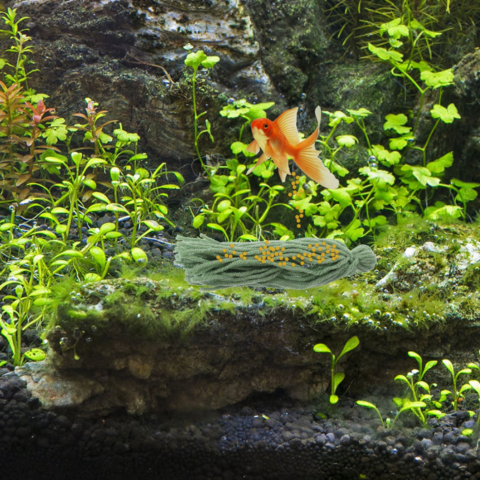 5 sztuk akwarium Spawning Bree – Aquarium Plant Liquid Fertilizer recenzja i cena