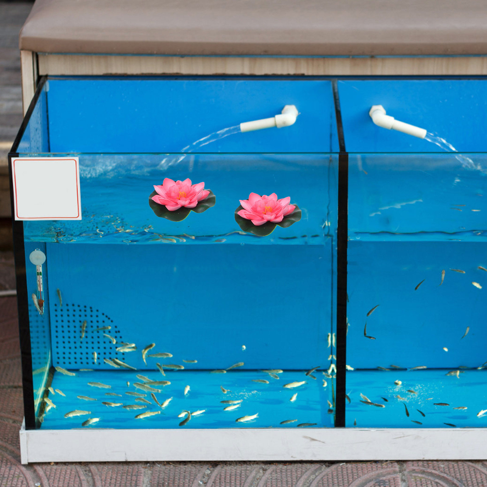 12 sztuk sztucznych pływającyc – Aquarium Plant recenzja i cena