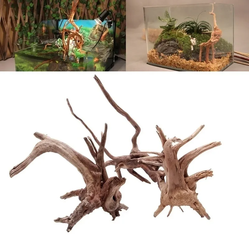 Naturalne drzewo pnia Driftwoo – Aquarium Plant Live recenzja i cena
