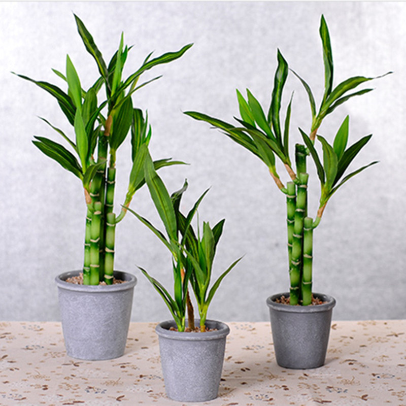 Nowa 40cm sztuczna roślina Luc – Aquarium Plant recenzja i cena