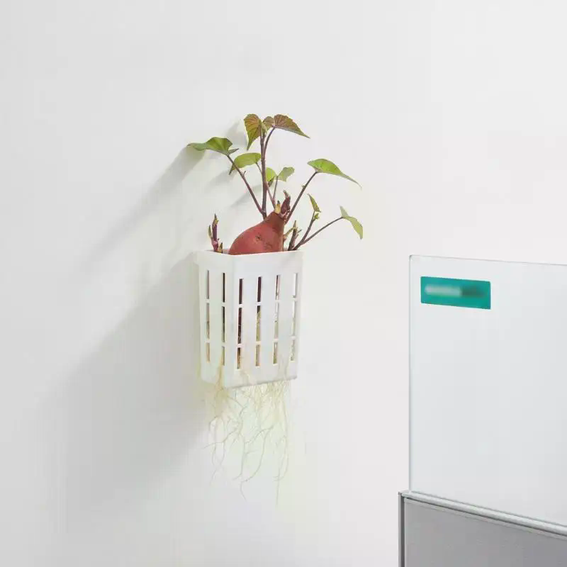 1 szt. Koszyk wspierający do h – Aquarium Plant recenzja i cena