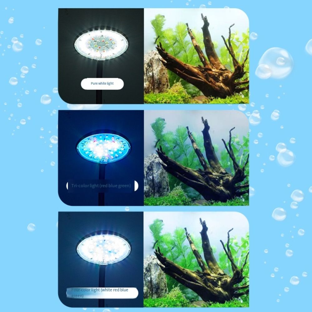 Mini Lampa Klipsowa do Akwariu – Aquarium Plant Live recenzja i cena