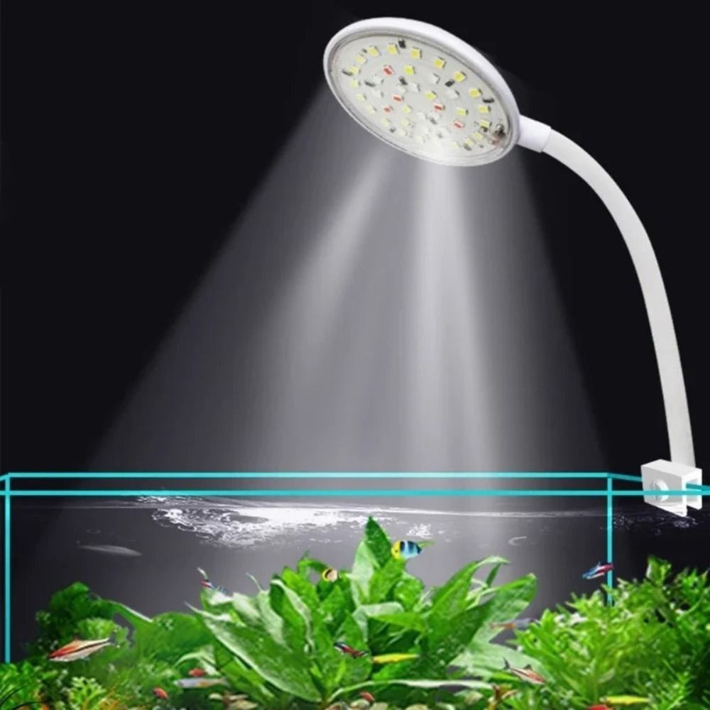 Mini Lampa Klipsowa do Akwariu – Aquarium Plant Live recenzja i cena
