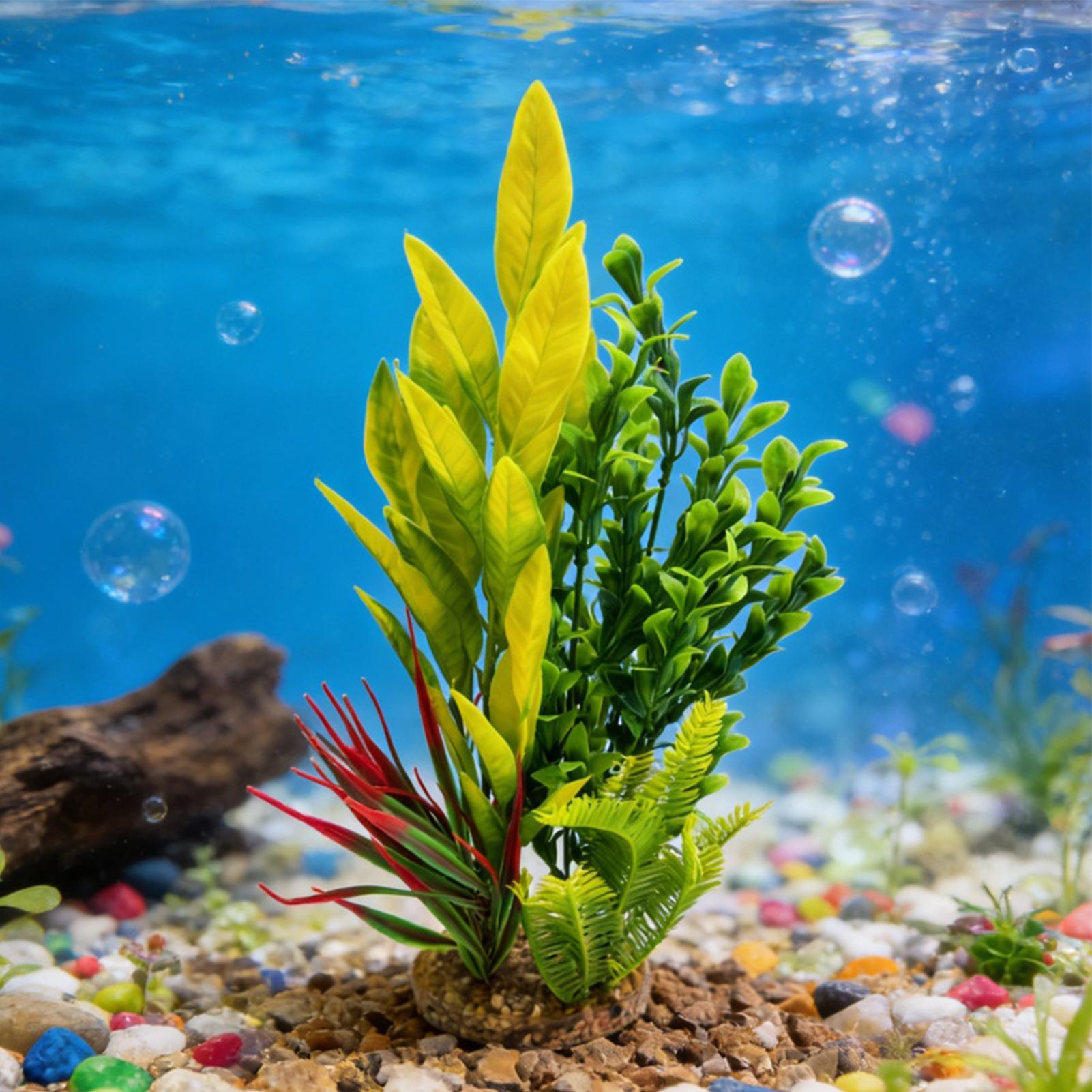 Sztuczne rośliny akwariowe Dek – Planted Aquarium For Beginners recenzja i cena
