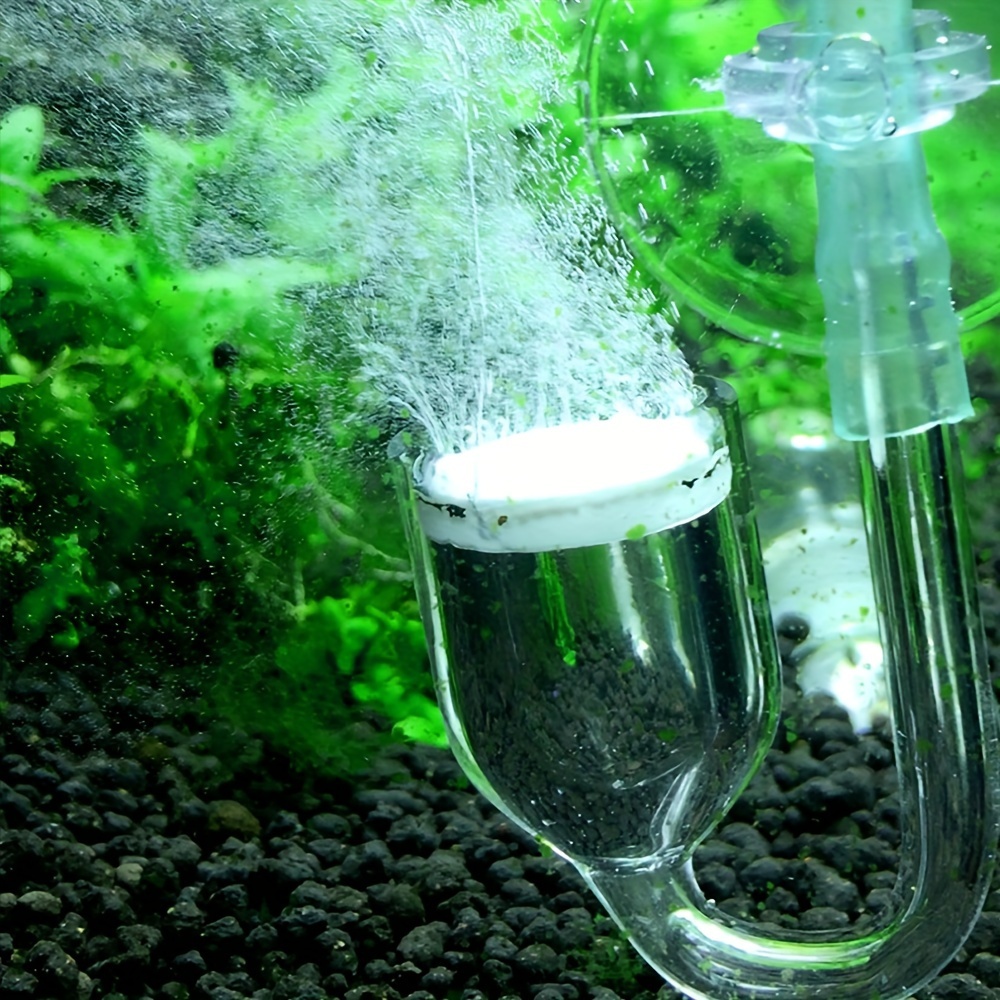Szklany atomizer CO2 do akwari – Aquarium Plants Book recenzja i cena