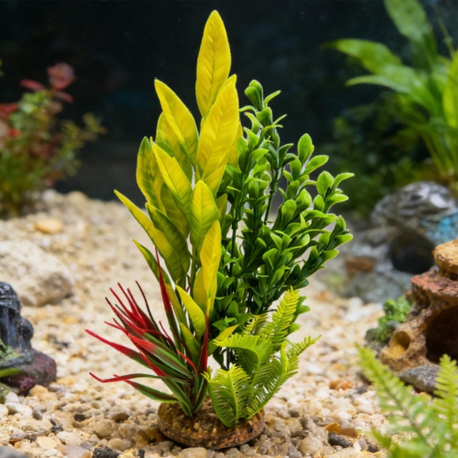 Sztuczne rośliny akwariowe Dek – Planted Aquarium For Beginners recenzja i cena