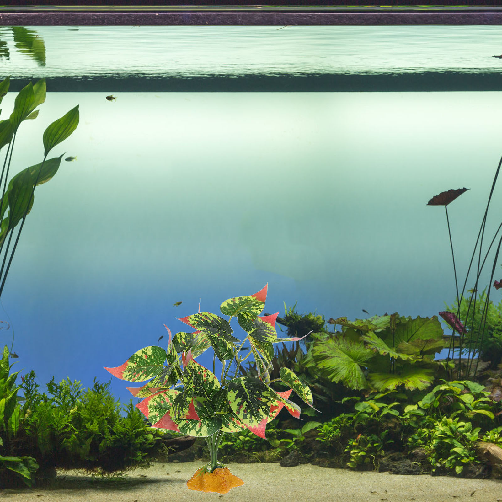 Realistyczne sztuczne rośliny  – Aquarium For Planted Tank recenzja i cena