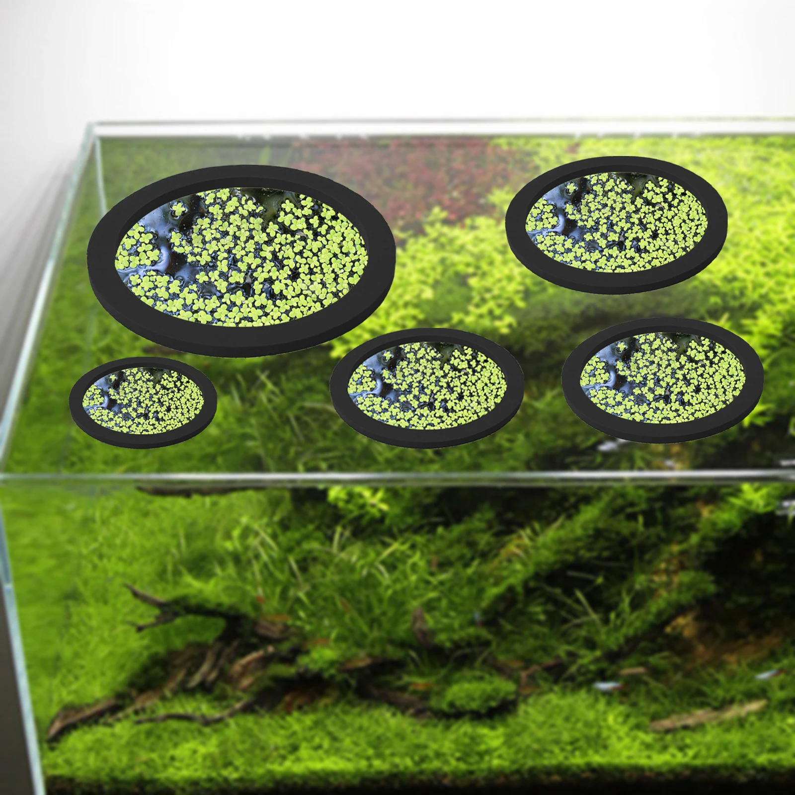 5Pcs EVA Pierścień do karmieni – Aquarium Plant recenzja i cena