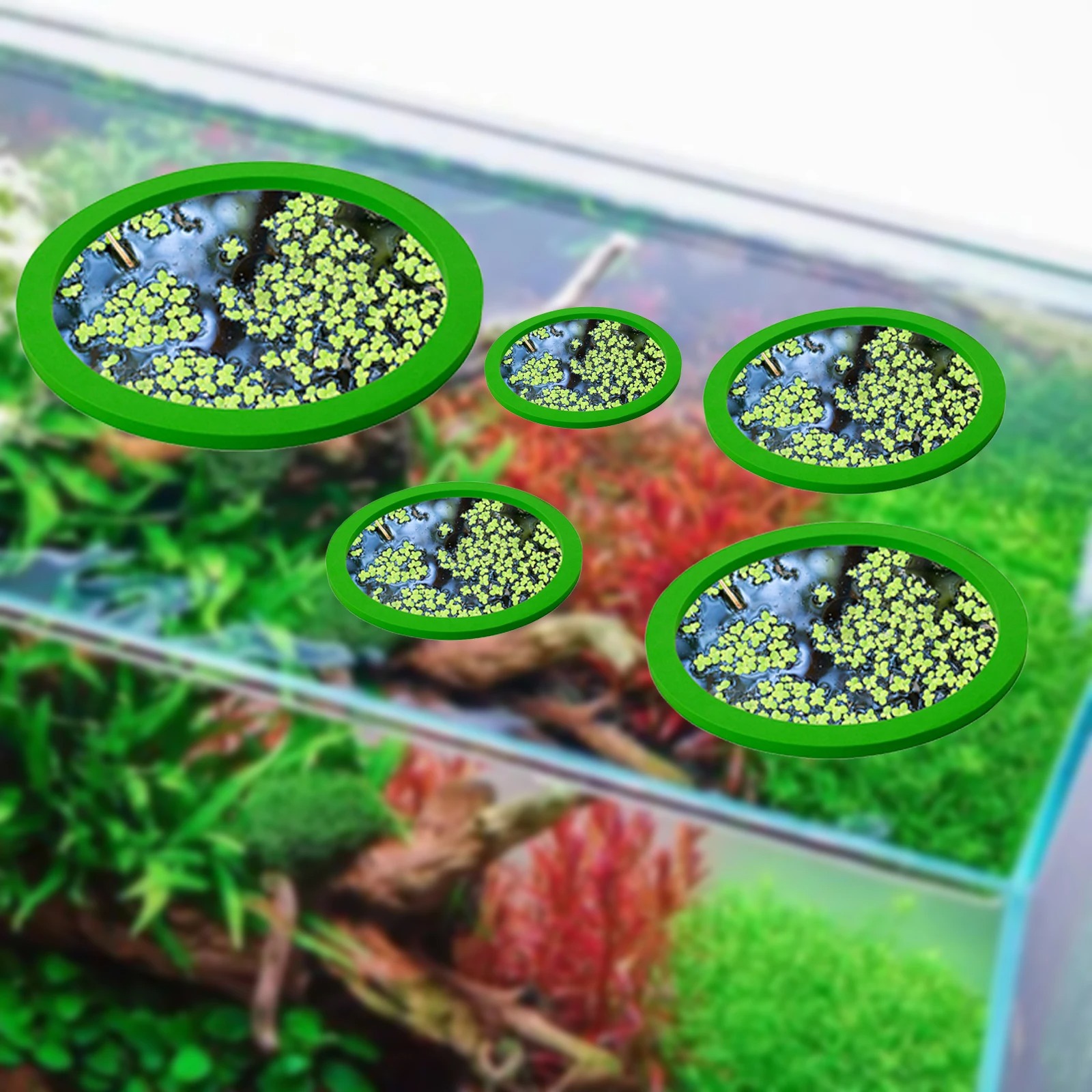 5Pcs EVA Pierścień do karmieni – Aquarium Plant recenzja i cena
