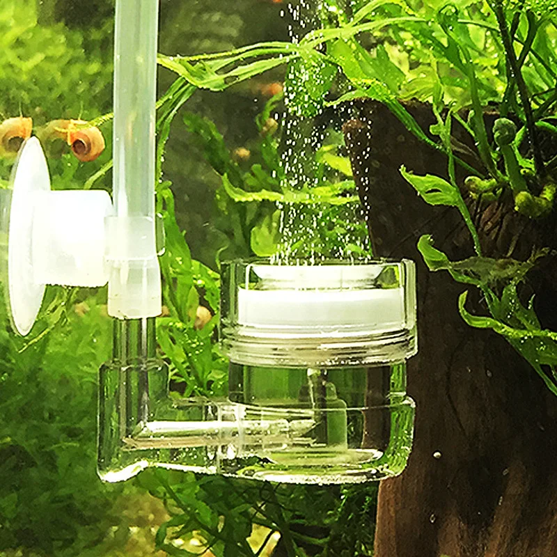 Akwarium 4 w 1 Dyfuzor CO2 Szk – Aquarium Plant Live recenzja i cena