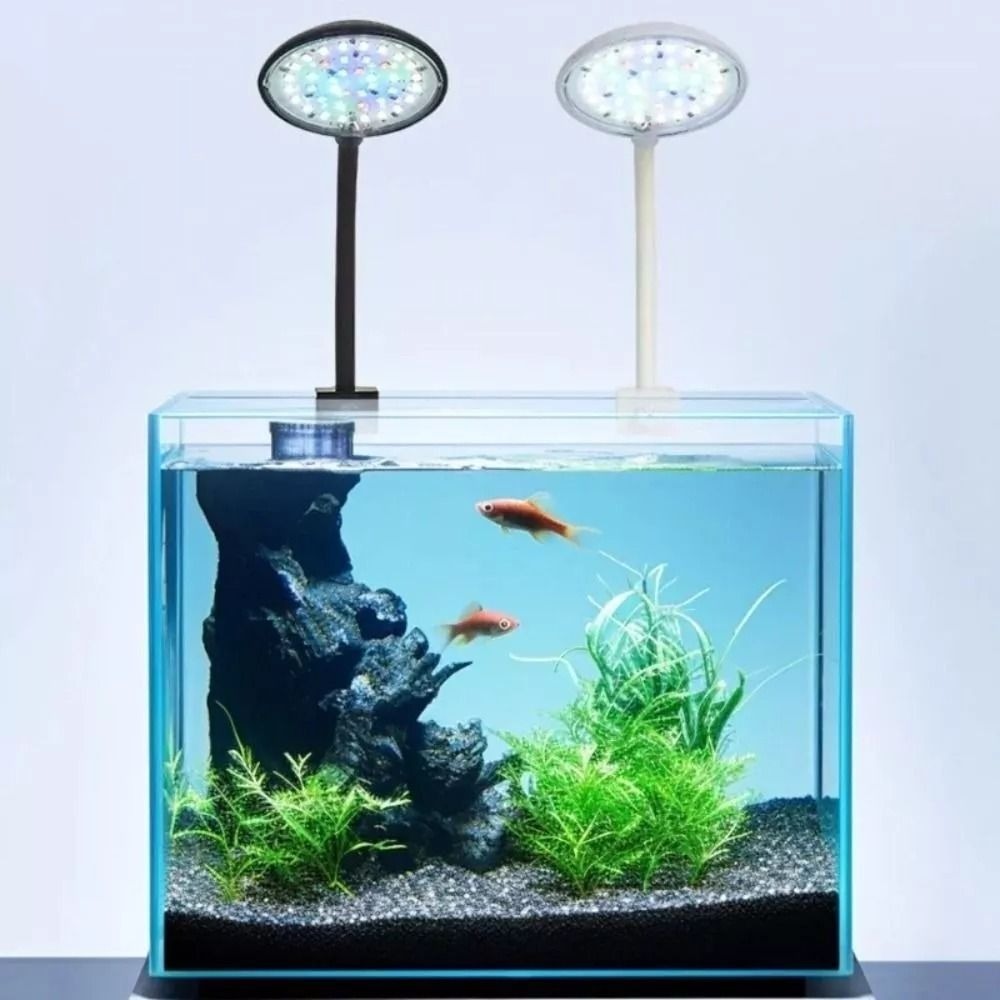 Nowy Mini akwarium lampa mocow – Aquarium Plant Live recenzja i cena