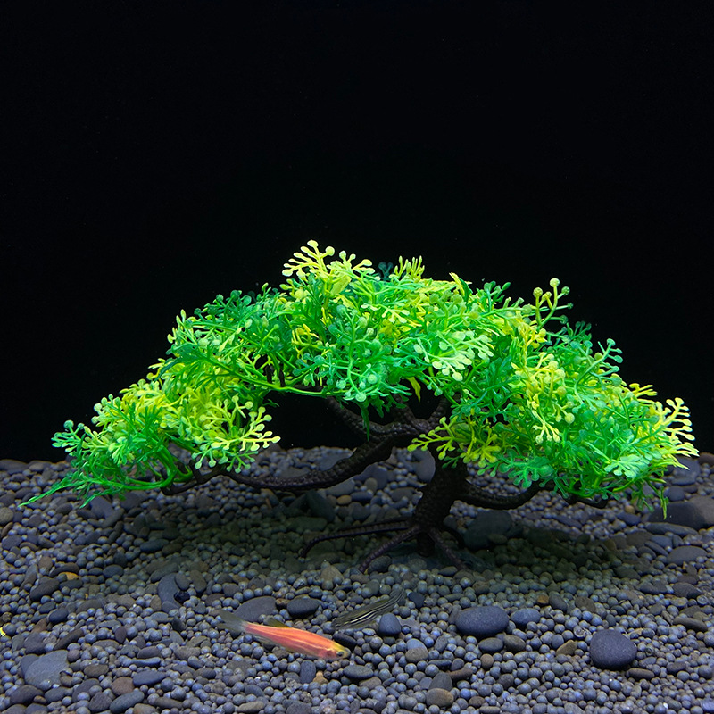 Drzewko bonsai do akwarium, ro – Aquarium Plant Seeds recenzja i cena