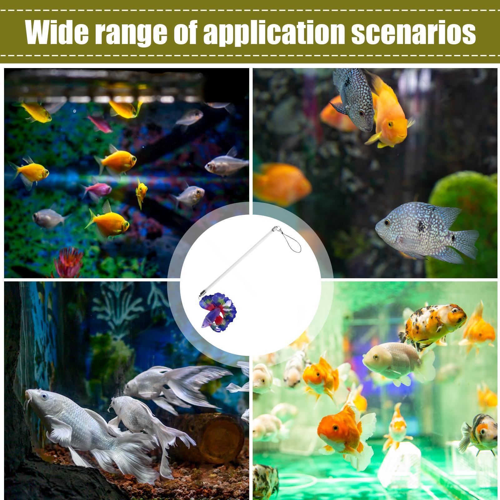 Realistyczna różdżka do trenin – Planted Aquarium For Beginners recenzja i cena