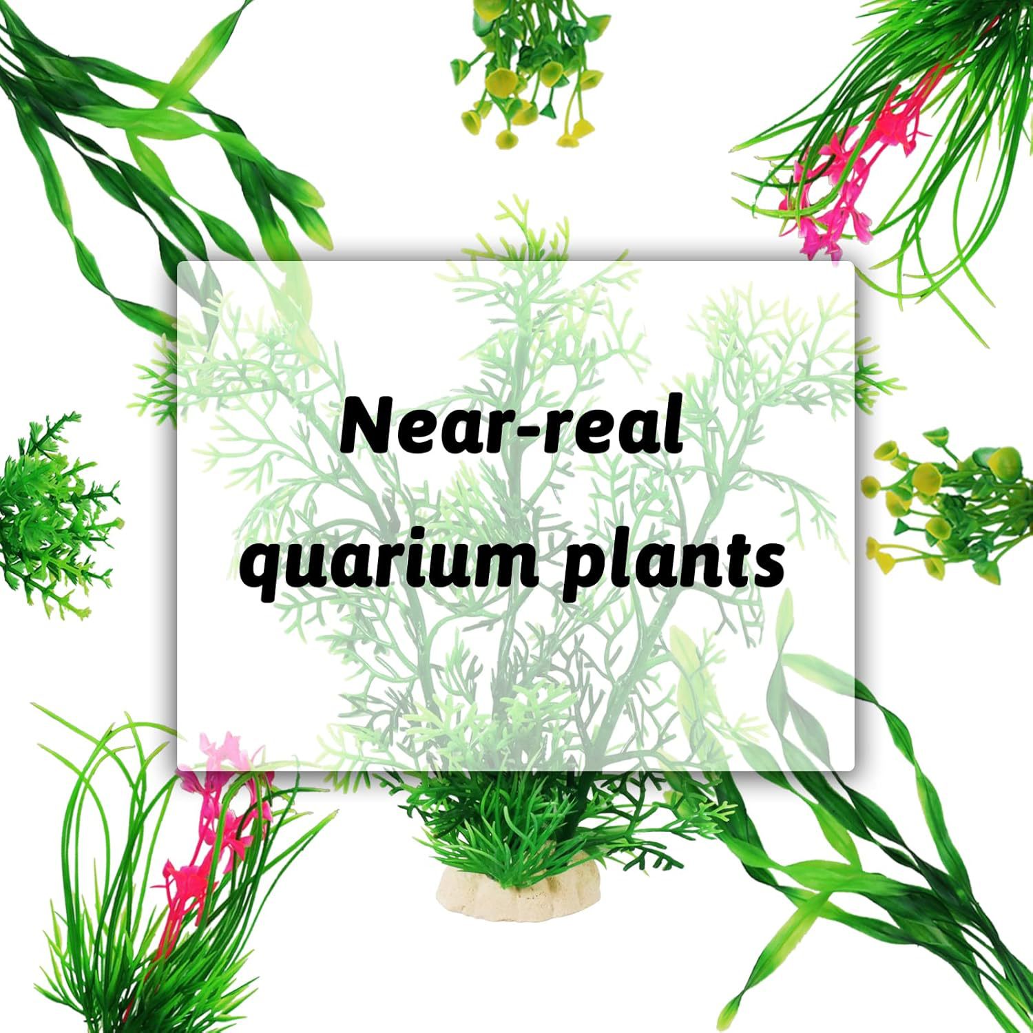 Sztuczne rośliny do akwarium,  – Planted Aquarium For Beginners recenzja i cena