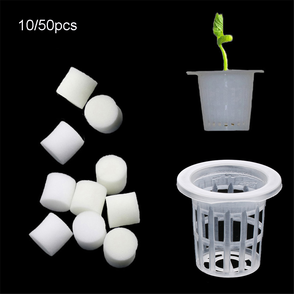 10/50 szt. Wytrzymałe tace do  – Aquarium Plant Seeds recenzja i cena