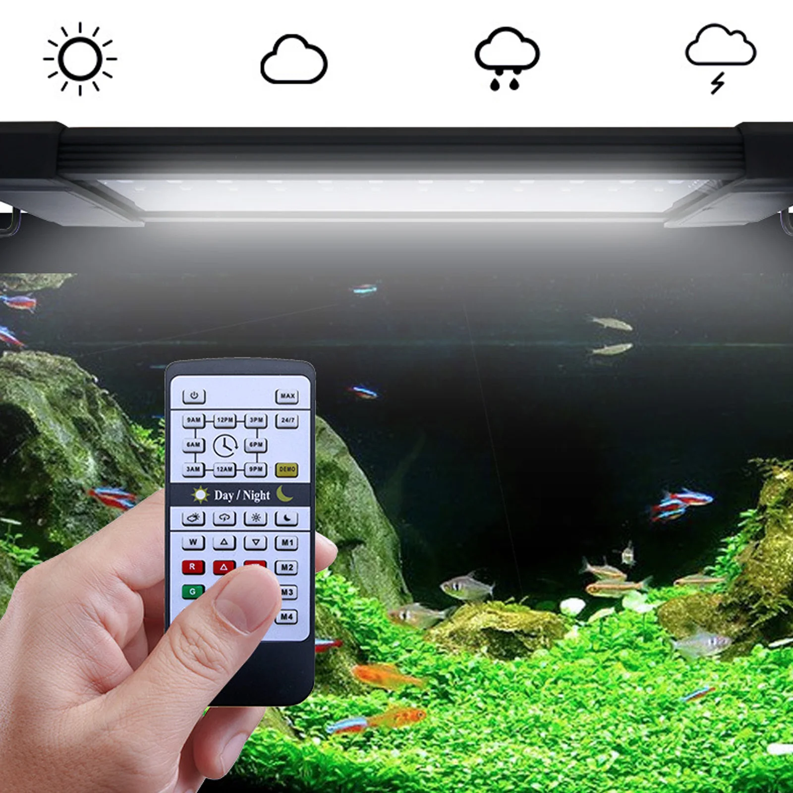 Liweida 24-godzinna lampa LED  – Aquarium Plant Lab recenzja i cena