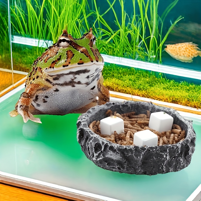 6 szt. Bloków wapnia do akwari – Aquarium Plant Liquid Fertilizer recenzja i cena