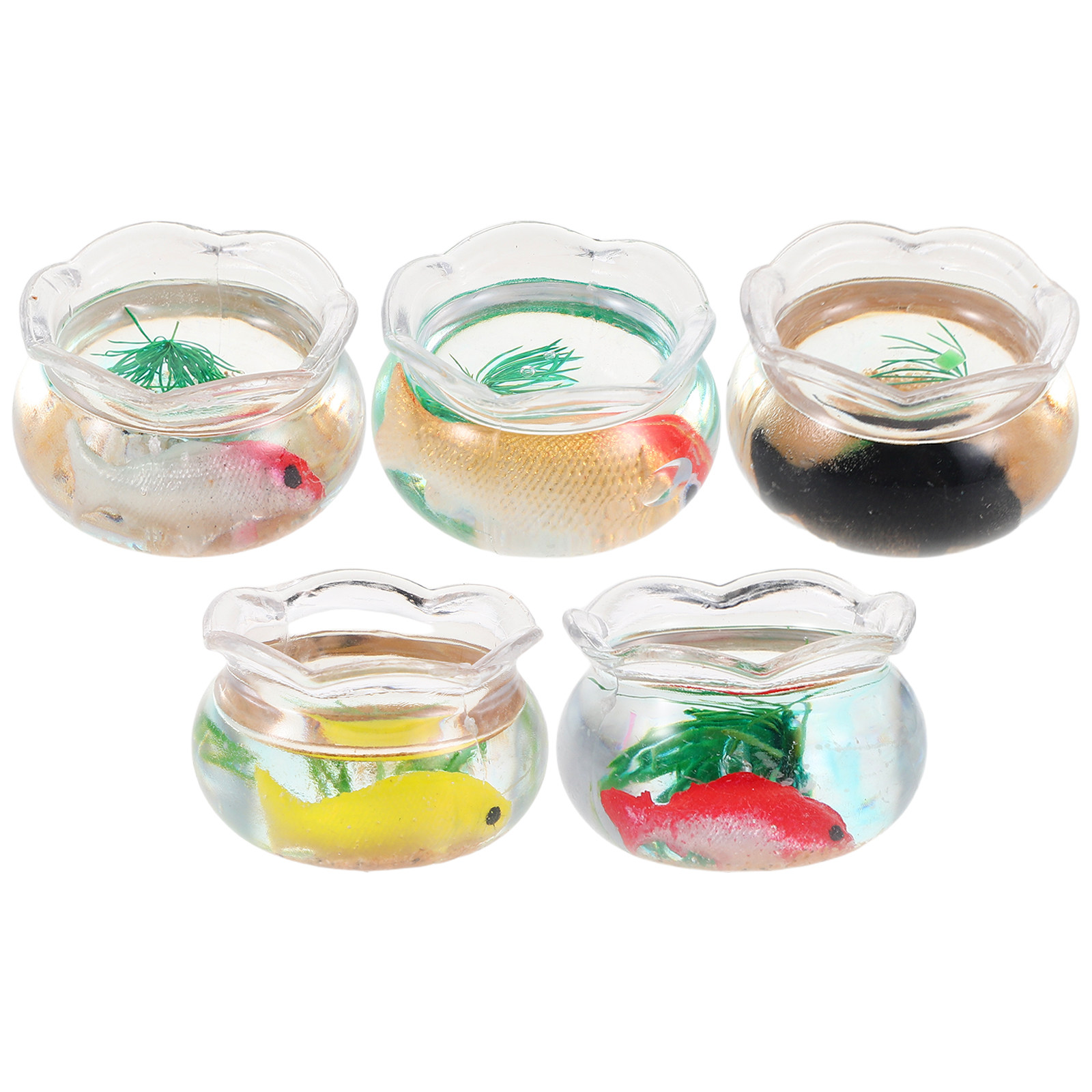 5 szt. miniaturowych akwariów  – Aquarium Plant recenzja i cena